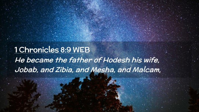 Picture 02 - 1 Chronicles 8:9 WEB Desktop Wallpaper - He became the father of Hodesh his wife, Jobab, - Desktop Bible Verse Wallpaper