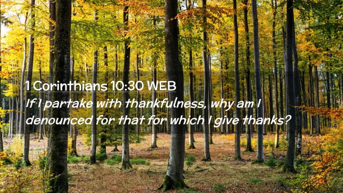 Picture 02 - 1 Corinthians 10:30 WEB Desktop Wallpaper - If I partake with thankfulness, why am I - Desktop Bible Verse Wallpaper