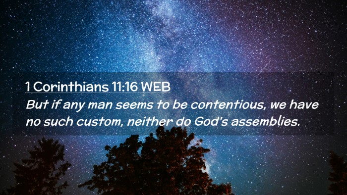 Picture 02 - 1 Corinthians 11:16 WEB Desktop Wallpaper - But if any man seems to be contentious, we have - Desktop Bible Verse Wallpaper
