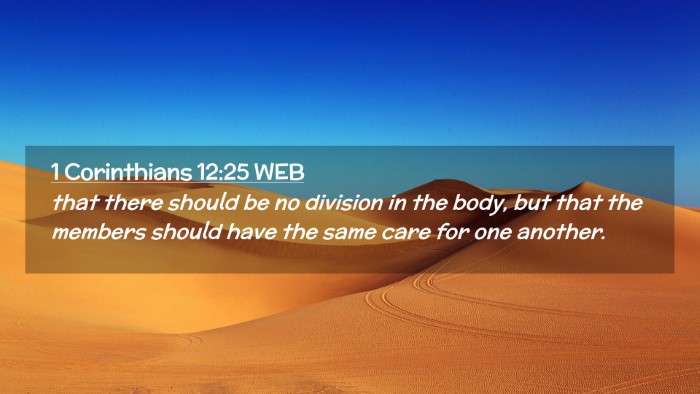 Picture 02 - 1 Corinthians 12:25 WEB Desktop Wallpaper - that there should be no division in the body, but - Desktop Bible Verse Wallpaper