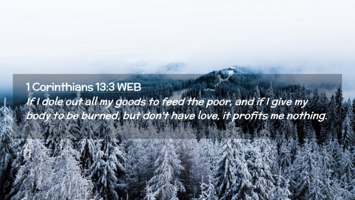 Picture 02 - 1 Corinthians 13:3 WEB Desktop Wallpaper - If I dole out all my goods to feed the poor, and - Desktop Bible Verse Wallpaper