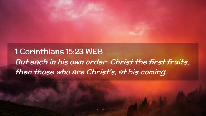 Picture 02 - 1 Corinthians 15:23 WEB Desktop Wallpaper - But each in his own order: Christ the first - Desktop Bible Verse Wallpaper