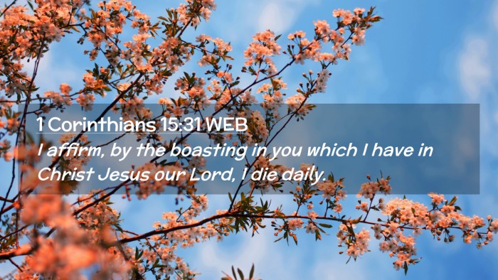 Picture 02 - 1 Corinthians 15:31 WEB Desktop Wallpaper - I affirm, by the boasting in you which I have in - Desktop Bible Verse Wallpaper