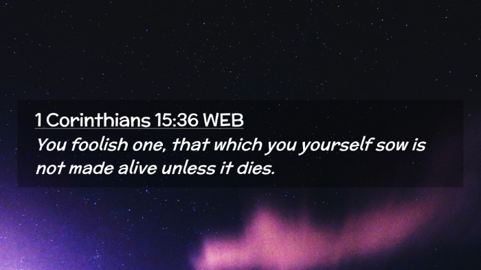 Picture 02 - 1 Corinthians 15:36 WEB Desktop Wallpaper - You foolish one, that which you yourself sow is - Desktop Bible Verse Wallpaper