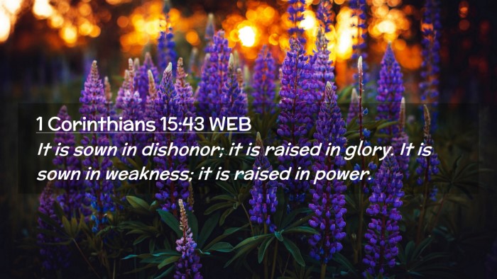 Picture 02 - 1 Corinthians 15:43 WEB Desktop Wallpaper - It is sown in dishonor; it is raised in glory. It - Desktop Bible Verse Wallpaper