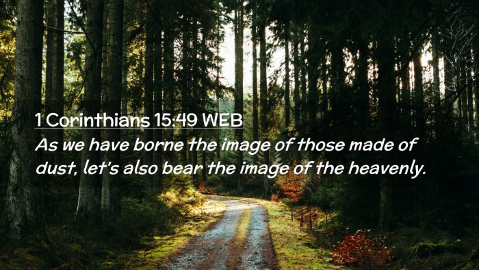 Picture 02 - 1 Corinthians 15:49 WEB Desktop Wallpaper - As we have borne the image of those made of dust, - Desktop Bible Verse Wallpaper