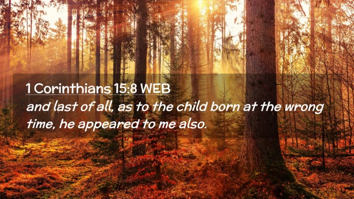 Picture 02 - 1 Corinthians 15:8 WEB Desktop Wallpaper - and last of all, as to the child born at the - Desktop Bible Verse Wallpaper