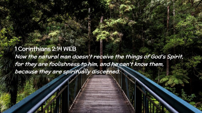 Picture 02 - 1 Corinthians 2:14 WEB Desktop Wallpaper - Now the natural man doesn't receive the things of - Desktop Bible Verse Wallpaper
