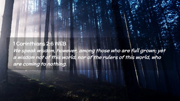 Picture 02 - 1 Corinthians 2:6 WEB Desktop Wallpaper - We speak wisdom, however, among those who are - Desktop Bible Verse Wallpaper