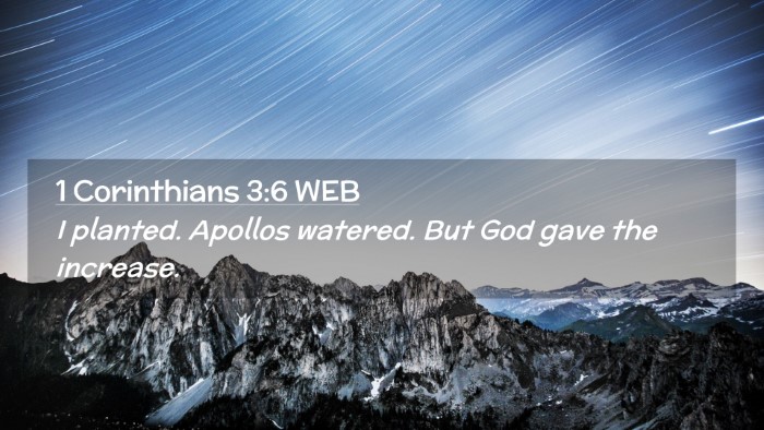 Picture 02 - 1 Corinthians 3:6 WEB Desktop Wallpaper - I planted. Apollos watered. But God gave the - Desktop Bible Verse Wallpaper