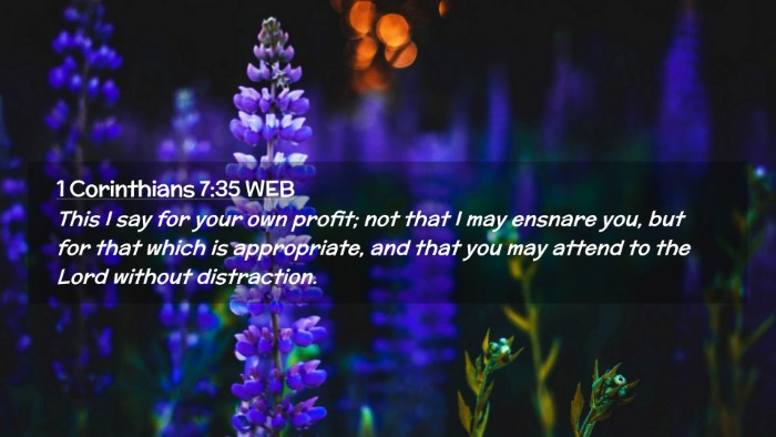 Picture 02 - 1 Corinthians 7:35 WEB Desktop Wallpaper - This I say for your own profit; not that I may - Desktop Bible Verse Wallpaper