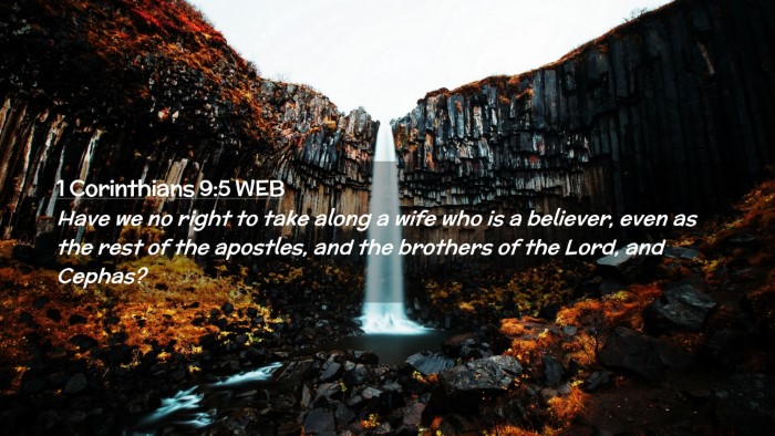 Picture 02 - 1 Corinthians 9:5 WEB Desktop Wallpaper - Have we no right to take along a wife who is a - Desktop Bible Verse Wallpaper