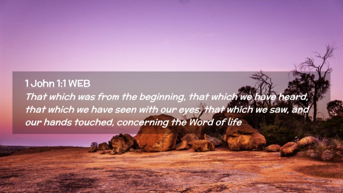 Picture 02 - 1 John 1:1 WEB Desktop Wallpaper - That which was from the beginning, that which we - Desktop Bible Verse Wallpaper