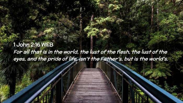 Picture 02 - 1 John 2:16 WEB Desktop Wallpaper - For all that is in the world, the lust of the - Desktop Bible Verse Wallpaper