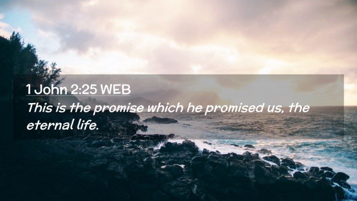 Picture 02 - 1 John 2:25 WEB Desktop Wallpaper - This is the promise which he promised us, the - Desktop Bible Verse Wallpaper