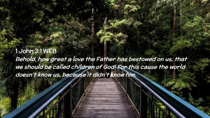 Picture 02 - 1 John 3:1 WEB Desktop Wallpaper - Behold, how great a love the Father has bestowed - Desktop Bible Verse Wallpaper