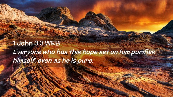 Picture 02 - 1 John 3:3 WEB Desktop Wallpaper - Everyone who has this hope set on him purifies - Desktop Bible Verse Wallpaper