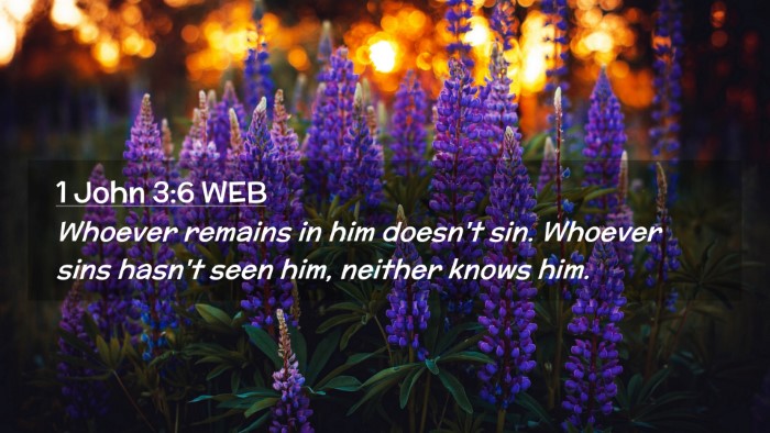 Picture 02 - 1 John 3:6 WEB Desktop Wallpaper - Whoever remains in him doesn't sin. Whoever sins - Desktop Bible Verse Wallpaper
