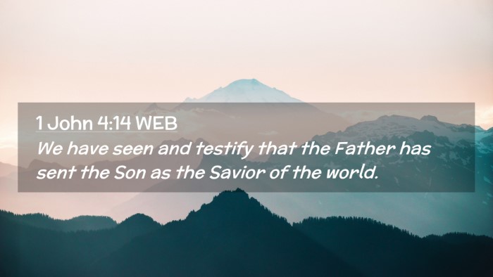 Picture 02 - 1 John 4:14 WEB Desktop Wallpaper - We have seen and testify that the Father has sent - Desktop Bible Verse Wallpaper