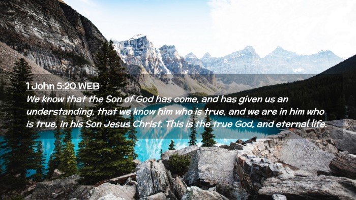 Picture 02 - 1 John 5:20 WEB Desktop Wallpaper - We know that the Son of God has come, and has - Desktop Bible Verse Wallpaper