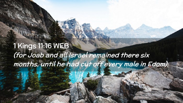 Picture 02 - 1 Kings 11:16 WEB Desktop Wallpaper - (for Joab and all Israel remained there six - Desktop Bible Verse Wallpaper