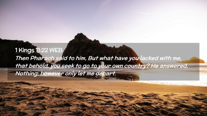 Picture 02 - 1 Kings 11:22 WEB Desktop Wallpaper - Then Pharaoh said to him, But what have you - Desktop Bible Verse Wallpaper