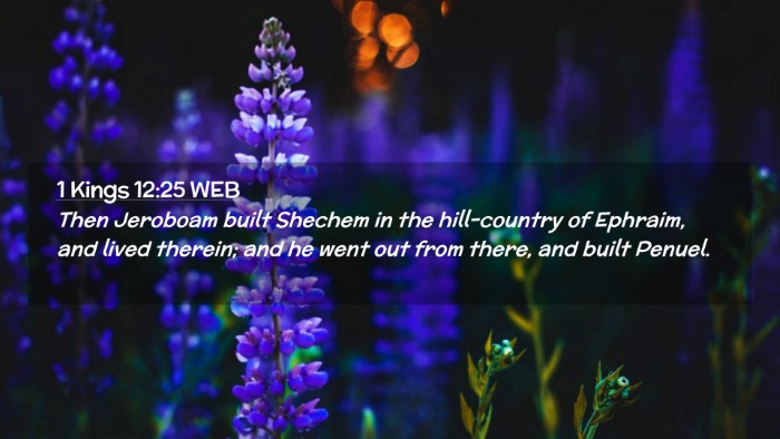Picture 02 - 1 Kings 12:25 WEB Desktop Wallpaper - Then Jeroboam built Shechem in the hill-country - Desktop Bible Verse Wallpaper