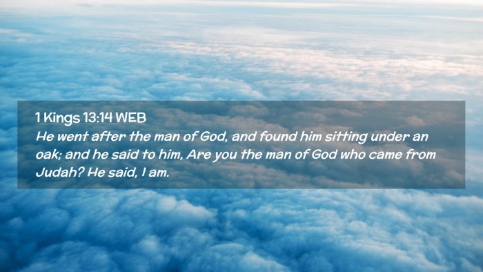 Picture 02 - 1 Kings 13:14 WEB Desktop Wallpaper - He went after the man of God, and found him - Desktop Bible Verse Wallpaper