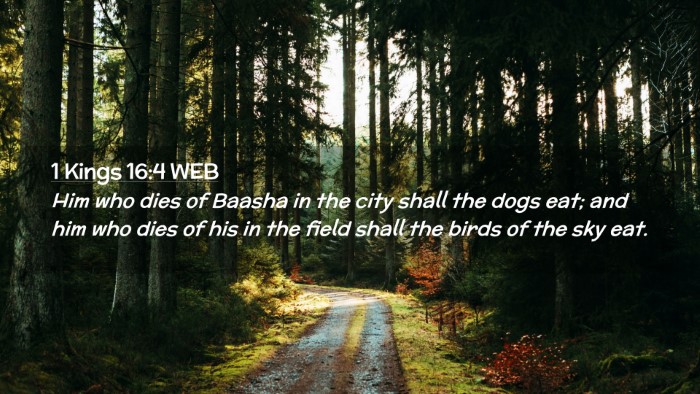 Picture 02 - 1 Kings 16:4 WEB Desktop Wallpaper - Him who dies of Baasha in the city shall the dogs - Desktop Bible Verse Wallpaper