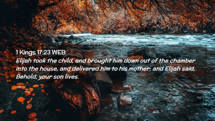 Picture 02 - 1 Kings 17:23 WEB Desktop Wallpaper - Elijah took the child, and brought him down out - Desktop Bible Verse Wallpaper