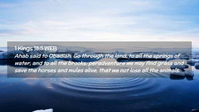 Picture 02 - 1 Kings 18:5 WEB Desktop Wallpaper - Ahab said to Obadiah, Go through the land, to all - Desktop Bible Verse Wallpaper