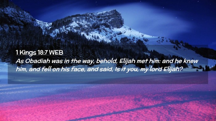 Picture 02 - 1 Kings 18:7 WEB Desktop Wallpaper - As Obadiah was in the way, behold, Elijah met - Desktop Bible Verse Wallpaper