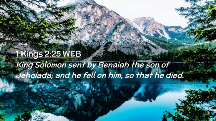 Picture 02 - 1 Kings 2:25 WEB Desktop Wallpaper - King Solomon sent by Benaiah the son of Jehoiada; - Desktop Bible Verse Wallpaper