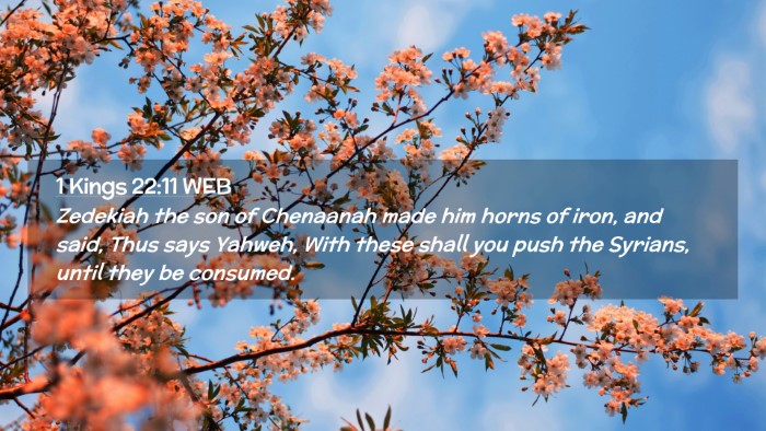 Picture 02 - 1 Kings 22:11 WEB Desktop Wallpaper - Zedekiah the son of Chenaanah made him horns of - Desktop Bible Verse Wallpaper