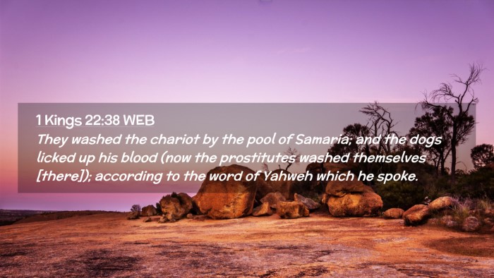 Picture 02 - 1 Kings 22:38 WEB Desktop Wallpaper - They washed the chariot by the pool of Samaria; - Desktop Bible Verse Wallpaper