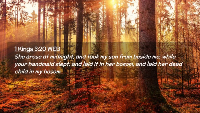 Picture 02 - 1 Kings 3:20 WEB Desktop Wallpaper - She arose at midnight, and took my son from - Desktop Bible Verse Wallpaper