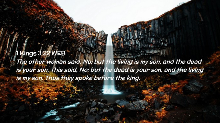 Picture 02 - 1 Kings 3:22 WEB Desktop Wallpaper - The other woman said, No; but the living is my - Desktop Bible Verse Wallpaper