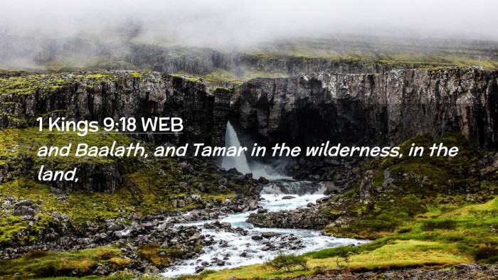 Picture 02 - 1 Kings 9:18 WEB Desktop Wallpaper - and Baalath, and Tamar in the wilderness, in the - Desktop Bible Verse Wallpaper