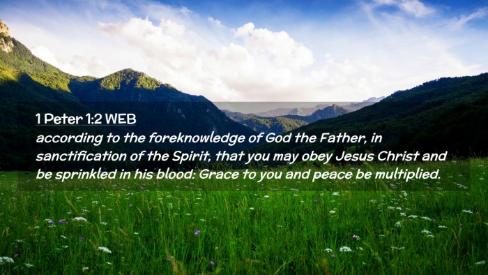 Picture 02 - 1 Peter 1:2 WEB Desktop Wallpaper - according to the foreknowledge of God the Father, - Desktop Bible Verse Wallpaper