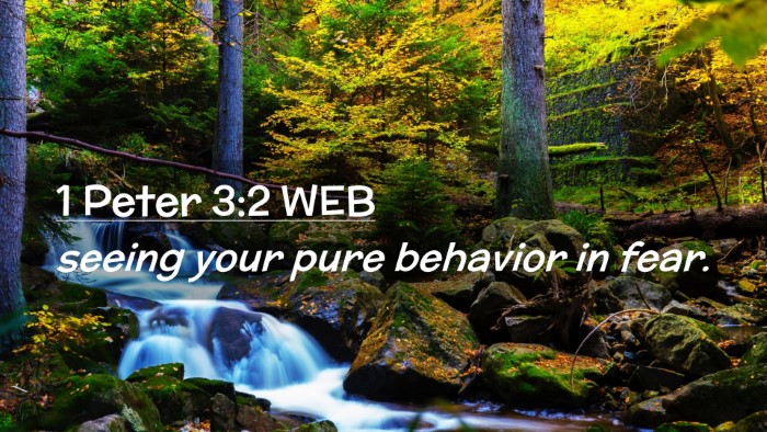 Picture 02 - 1 Peter 3:2 WEB Desktop Wallpaper - seeing your pure behavior in - Desktop Bible Verse Wallpaper
