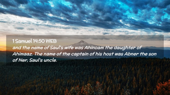 Picture 02 - 1 Samuel 14:50 WEB Desktop Wallpaper - and the name of Saul's wife was Ahinoam the - Desktop Bible Verse Wallpaper