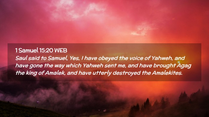 Picture 02 - 1 Samuel 15:20 WEB Desktop Wallpaper - Saul said to Samuel, Yes, I have obeyed the voice - Desktop Bible Verse Wallpaper
