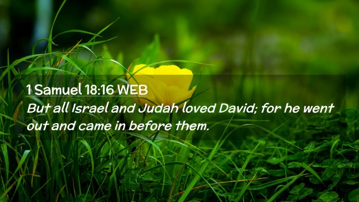 Picture 02 - 1 Samuel 18:16 WEB Desktop Wallpaper - But all Israel and Judah loved David; for he went - Desktop Bible Verse Wallpaper