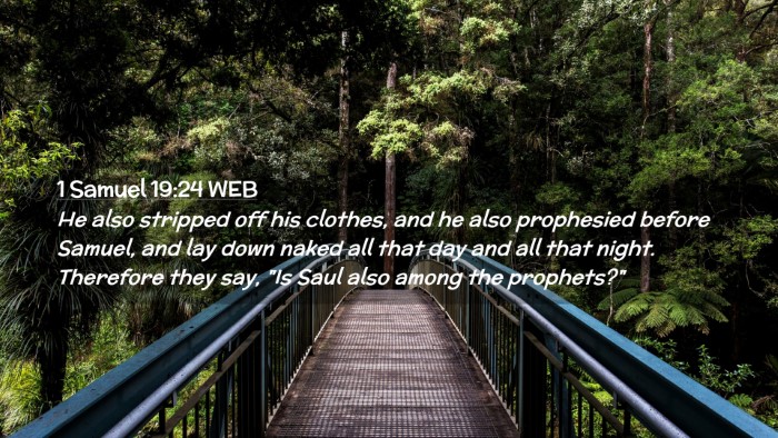 Picture 02 - 1 Samuel 19:24 WEB Desktop Wallpaper - He also stripped off his clothes, and he also - Desktop Bible Verse Wallpaper