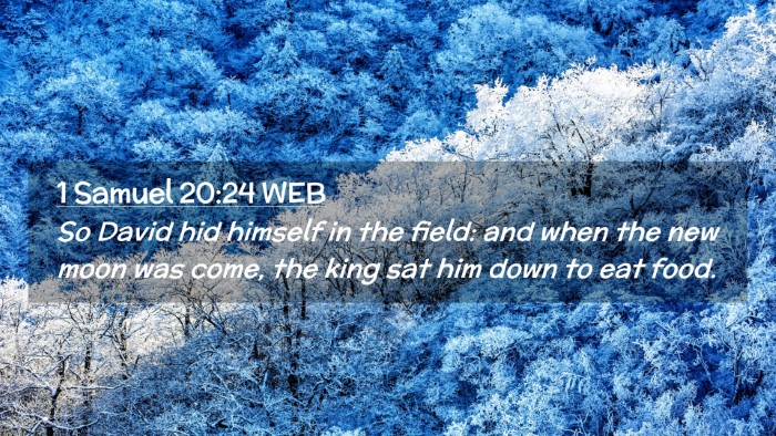 Picture 02 - 1 Samuel 20:24 WEB Desktop Wallpaper - So David hid himself in the field: and when the - Desktop Bible Verse Wallpaper