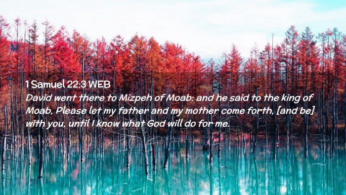 Picture 02 - 1 Samuel 22:3 WEB Desktop Wallpaper - David went there to Mizpeh of Moab: and he said - Desktop Bible Verse Wallpaper