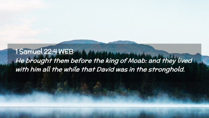 Picture 02 - 1 Samuel 22:4 WEB Desktop Wallpaper - He brought them before the king of Moab: and they - Desktop Bible Verse Wallpaper