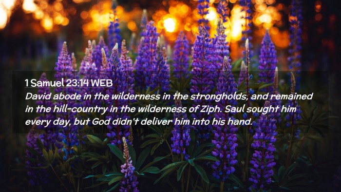Picture 02 - 1 Samuel 23:14 WEB Desktop Wallpaper - David abode in the wilderness in the strongholds, - Desktop Bible Verse Wallpaper