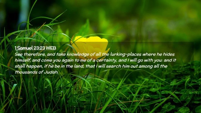 Picture 02 - 1 Samuel 23:23 WEB Desktop Wallpaper - See therefore, and take knowledge of all the - Desktop Bible Verse Wallpaper