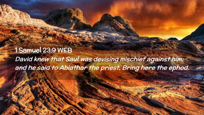 Picture 02 - 1 Samuel 23:9 WEB Desktop Wallpaper - David knew that Saul was devising mischief - Desktop Bible Verse Wallpaper